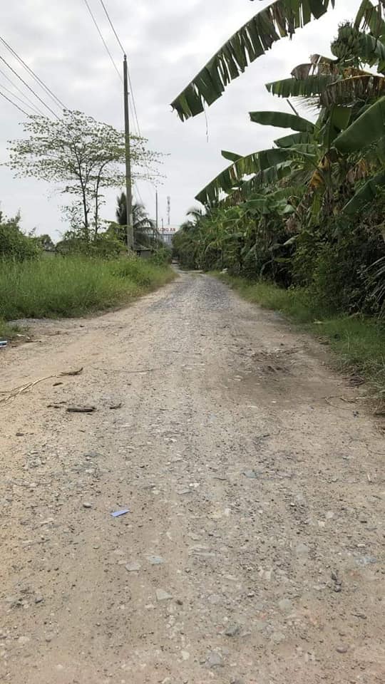 Đất thổ cư phường 7, Tân An, 120m² giá 1.35 tỷ - Chính chủ bán gấp!