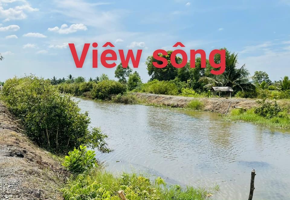 Đất vườn 1000m² xã Thạnh Hòa huyện Bến Lức giá 650 triệu - View sông đẹp