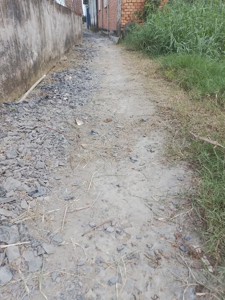 Đất vườn Ấp 2, Long Khê, Cần Đước 100m² giá 620 triệu - Cơ hội đầu tư tuyệt vời!