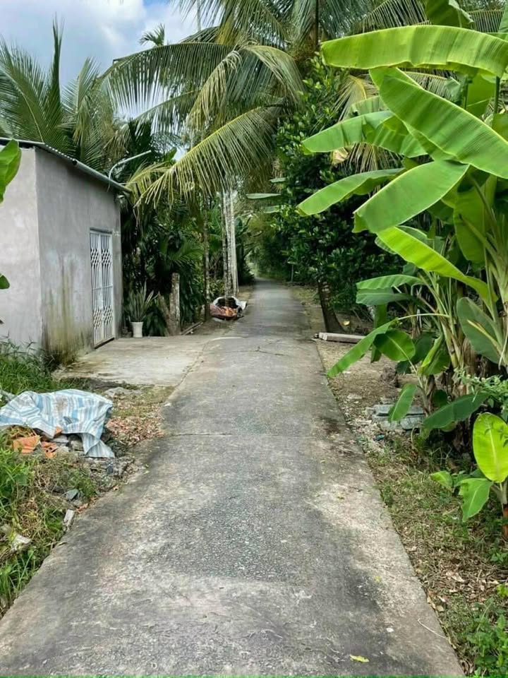 Đất nền Khu phố 2, Phường 7, TP Vị Thanh 270m² giá 360 triệu - Vị trí đẹp, thuận lợi!