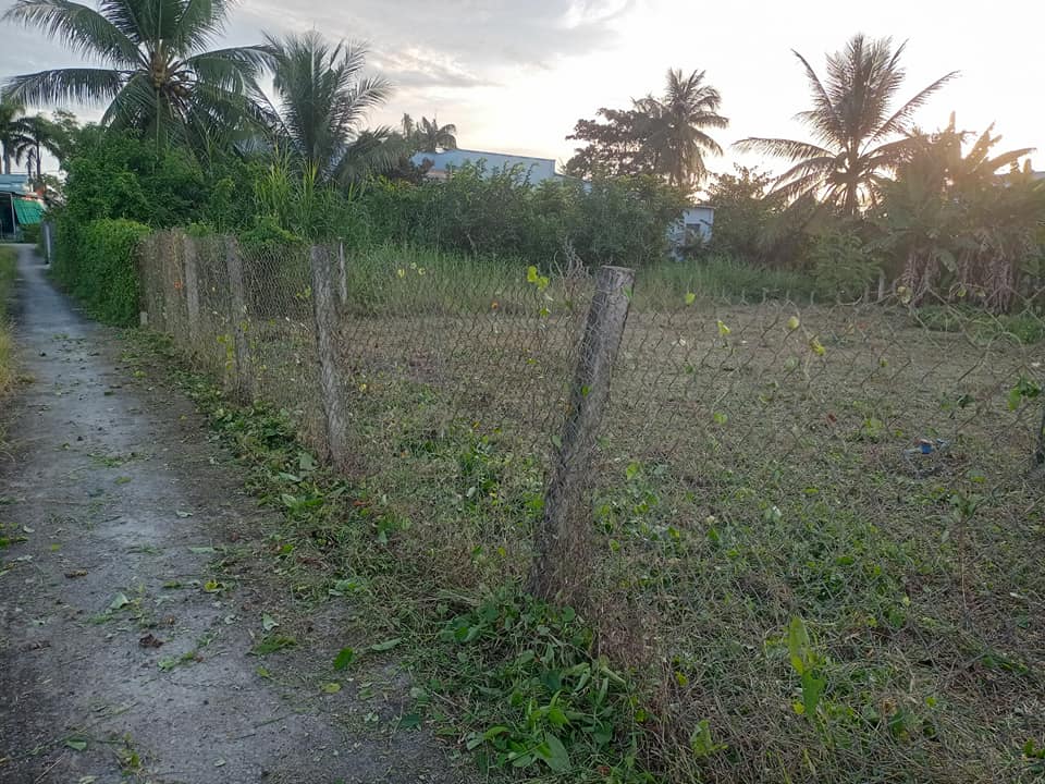 Đất thổ cư 300m² xã Tân Lân, Cần Đước chỉ 1.15 tỷ - Giá tốt, đầu tư sinh lời!