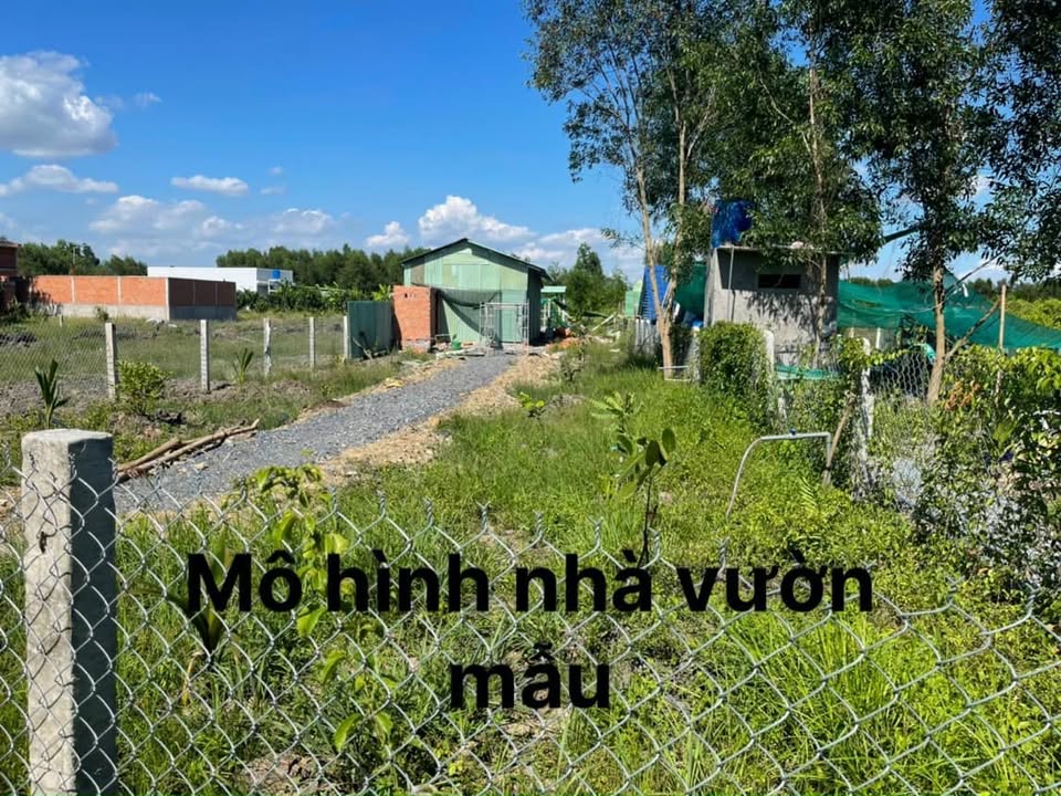 Đất vườn Thạnh Lợi Bến Lức 500m² giá 420 triệu - Cơ hội đầu tư tốt!