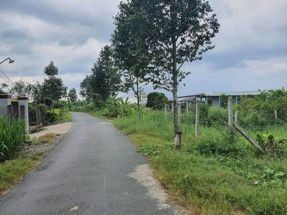 Đất nền 1540m² mặt tiền đường Lê Minh Xuân, Tân An - Giá chỉ 2.5 tỷ!