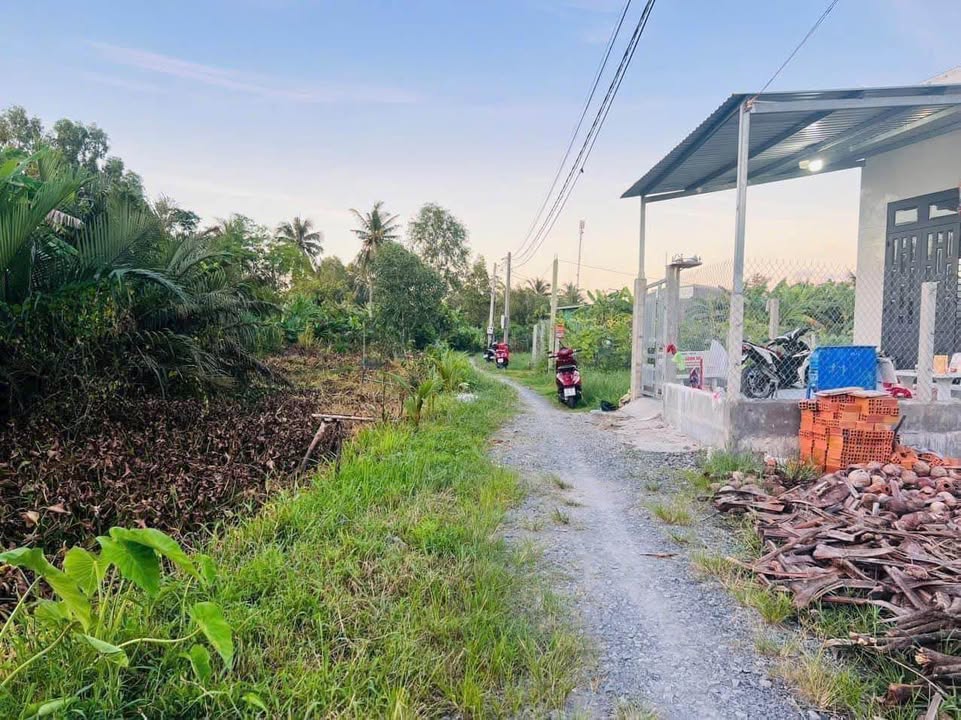 Đất thổ cư hẻm xe hơi Phạm Văn Thành, Tân Khánh, 110m² chỉ 800 triệu - Chính chủ bán gấp!