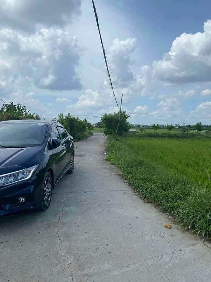 Đất thổ cư chính chủ xã Nhơn Thạnh Trung, Tân An 238m² giá 1.3 tỷ - Cơ hội đầu tư tốt!