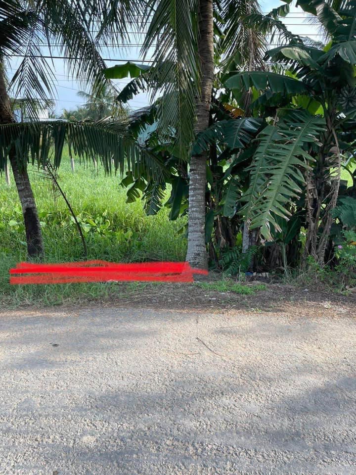 Đất nền chính chủ mặt tiền đường Đinh Viết Cừu, Tân An, 239m² giá 750 triệu - Cơ hội đầu tư tuyệt vời!