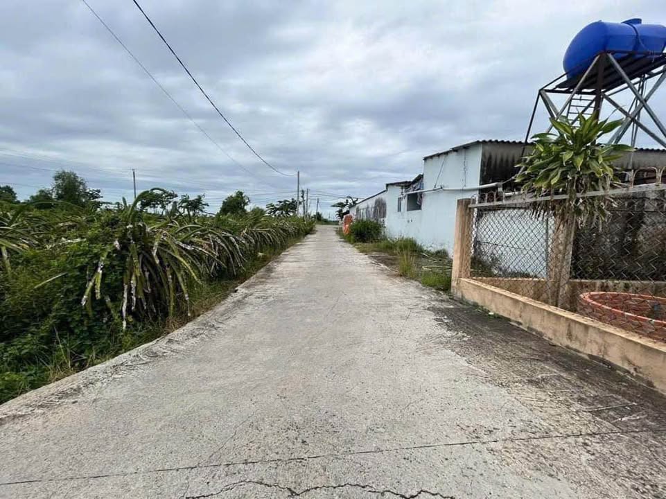 Đất lúa 2470m² xã Hiệp Thạnh, Châu Thành, Long An - Đầu tư sinh lời hấp dẫn!