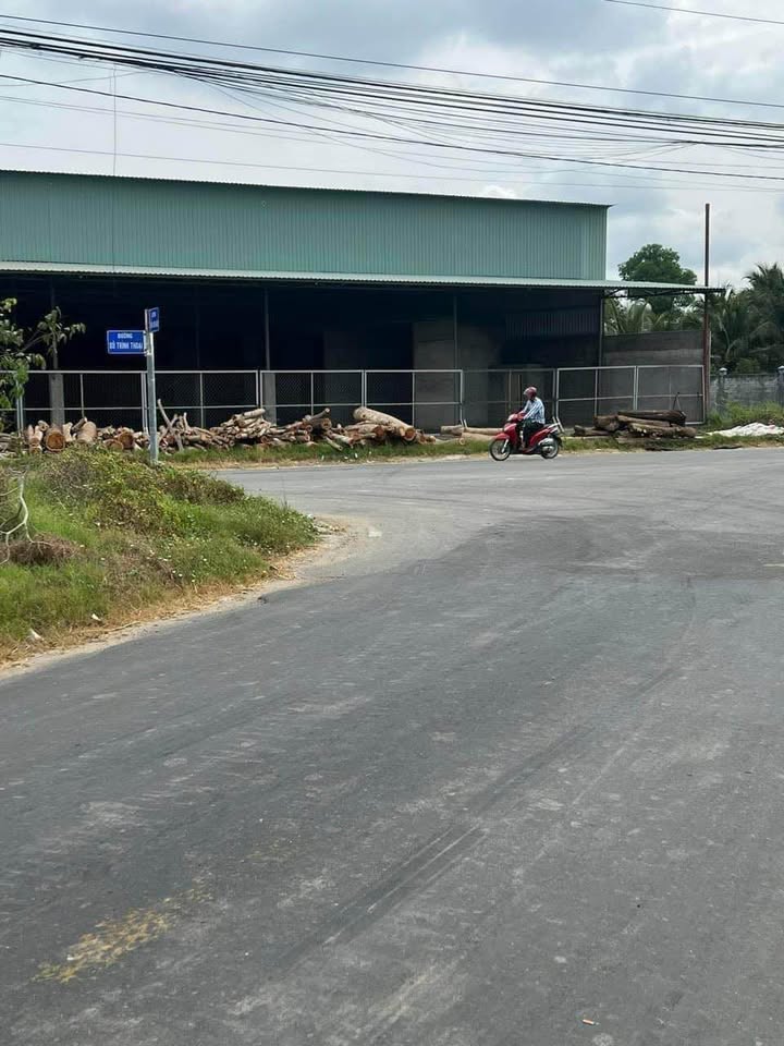 Đất thổ cư 100m² + 187m² đất lúa mặt tiền Trần Văn Ngàn, Tân An - Giá chỉ 1.4 tỷ!