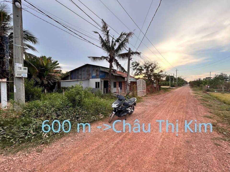 Lô đất thổ cư mặt tiền đường Huỳnh Hoàng Hiển, Tân An 120m² - Giá 1.55 tỷ, thương lượng!