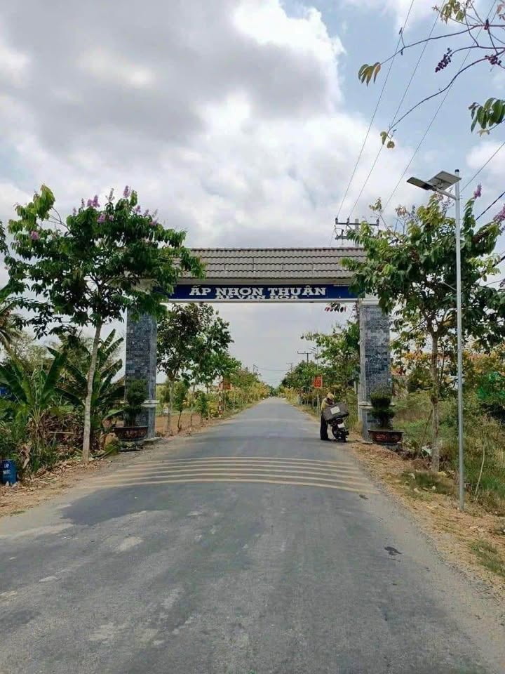 Đất mặt tiền đường Bùi Tấn, Tân An 288m² giá 1.35 tỷ - Sổ hồng chính chủ!