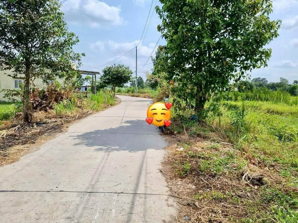 Đất lúa 1054m² xã Bình Tâm, Tân An, Long An - Chính chủ bán gấp chỉ 1.95 tỷ!