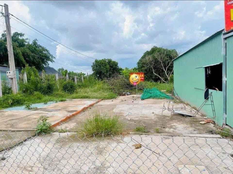 Đất thổ cư mặt tiền đường Tỉnh 833, xã Bình Tịnh, 225m² giá 2.1 tỷ - Chính chủ bán gấp!