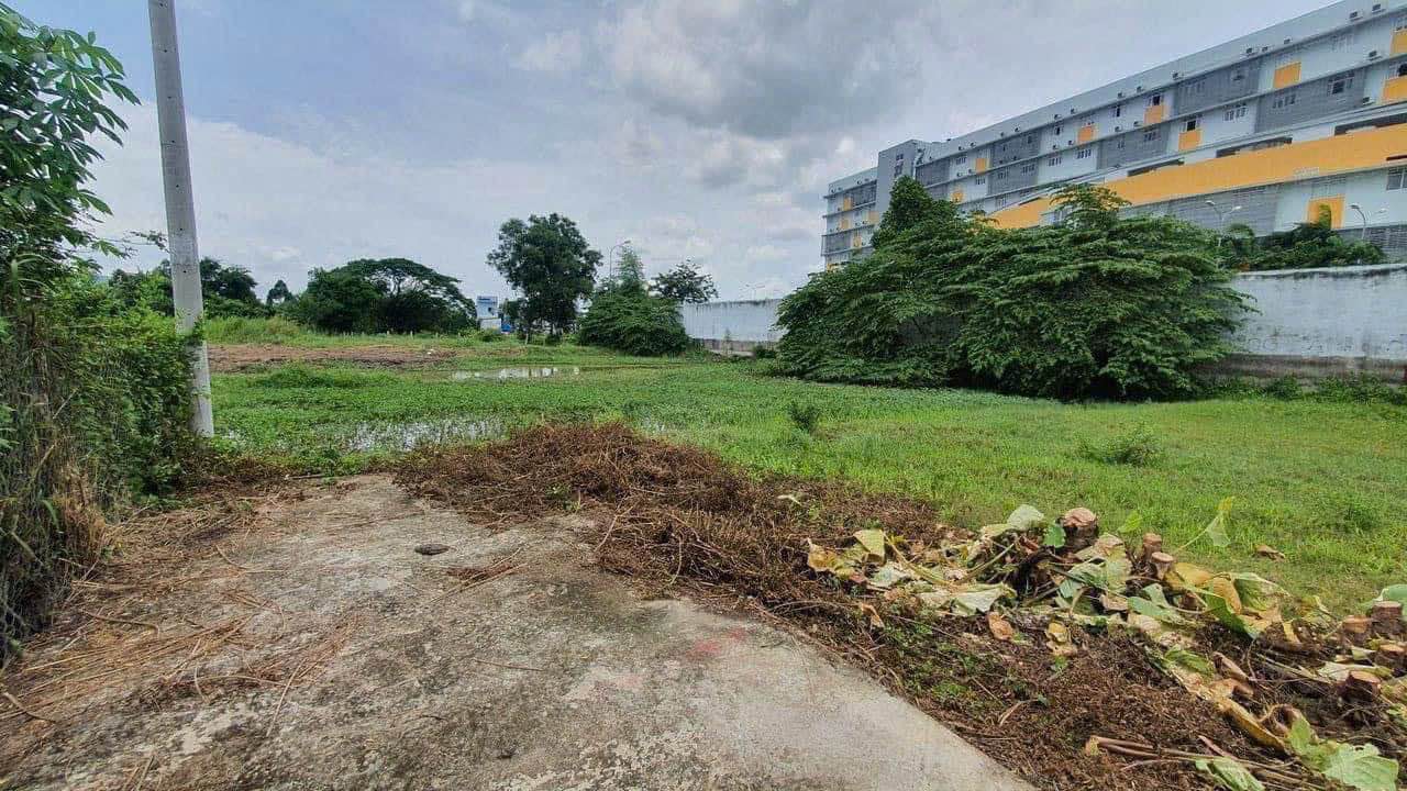 Đất thổ cư Đinh Thiếu Sơn, Tân An 112m² giá 850 triệu - Đường ô tô vào tận nơi!