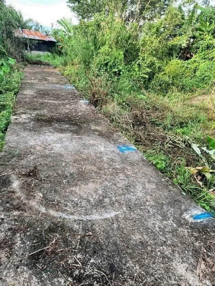 Đất thổ cư tại hẻm Phạm Văn Ngô, Tân Khánh, 128m² chỉ 580 triệu - Cơ hội đầu tư hiếm có!