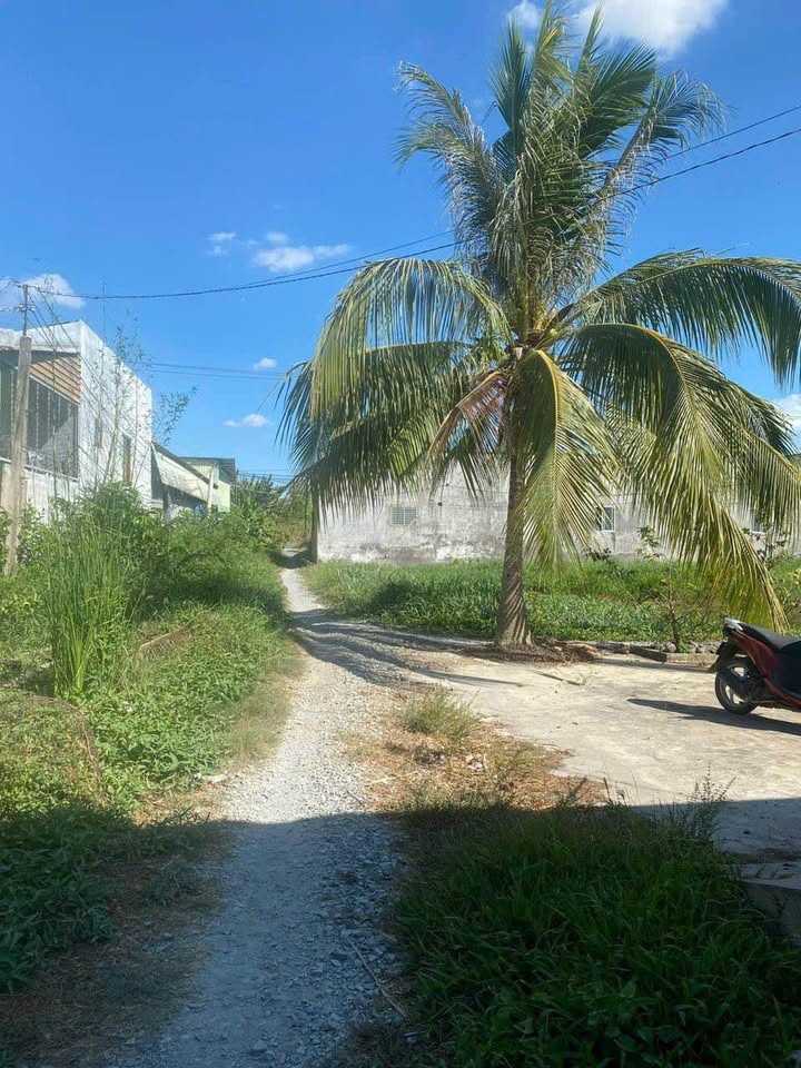 Nhà cấp 4 hai mặt tiền hẻm Nguyễn Văn Quá, Tân An, 306m² - Chính chủ bán gấp!