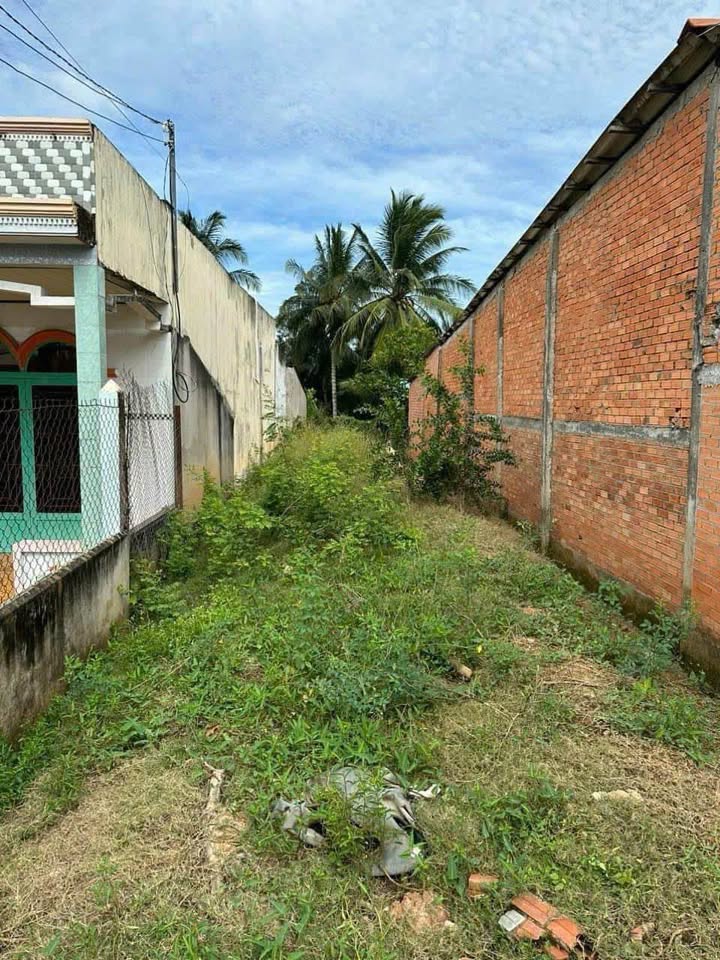 Đất thổ cư mặt tiền Quốc Lộ 62, Thủ Thừa, Long An 250m² giá 2.4 tỷ - Đầu tư sinh lời ngay!