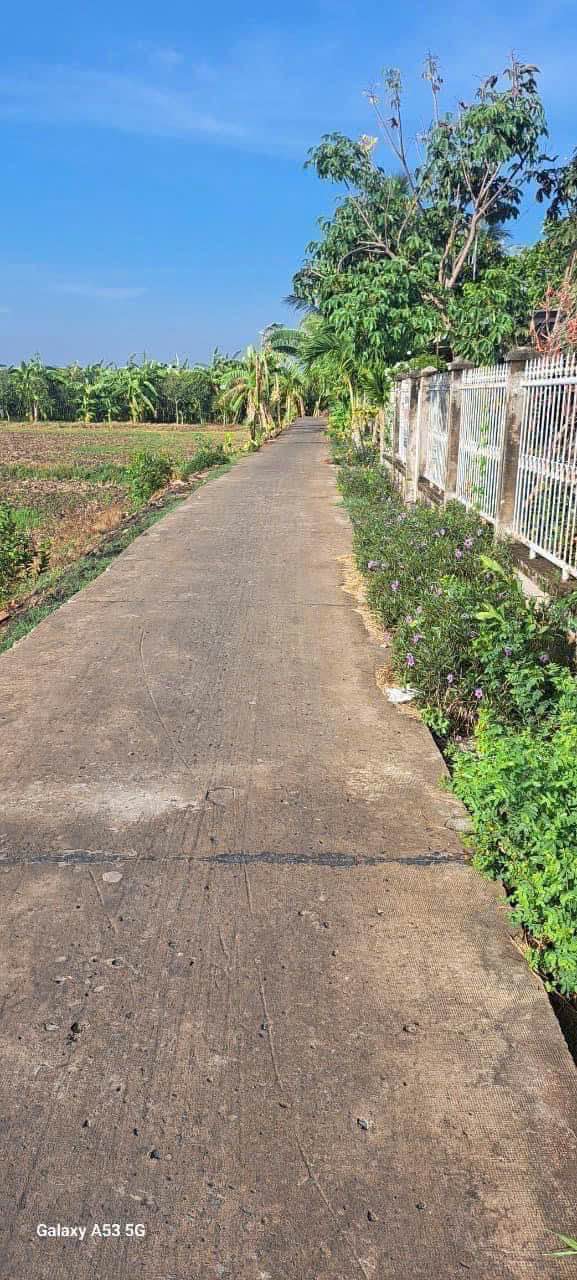 Đất lúa 2400m² tại Mỹ Phú, Thủ Thừa, Long An - Giá thương lượng hấp dẫn!