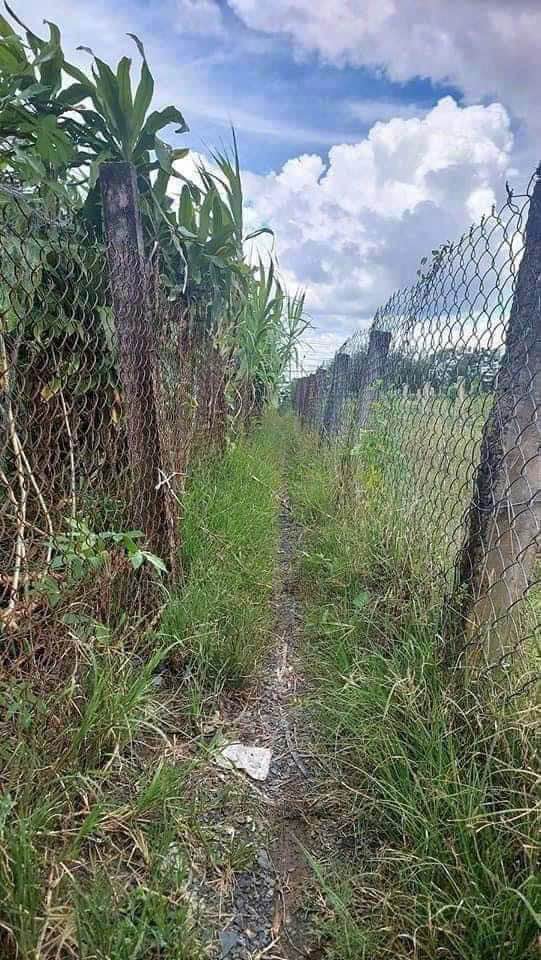 Đất nông nghiệp 2000m² xã Bình Tâm, Tân An - Giá chỉ 1.8 tỷ VND