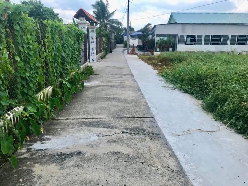 Đất thổ cư An Thạnh, Hòa Phú, Châu Thành 992m² giá 3.5 tỷ - Đầu tư sinh lời lý tưởng!