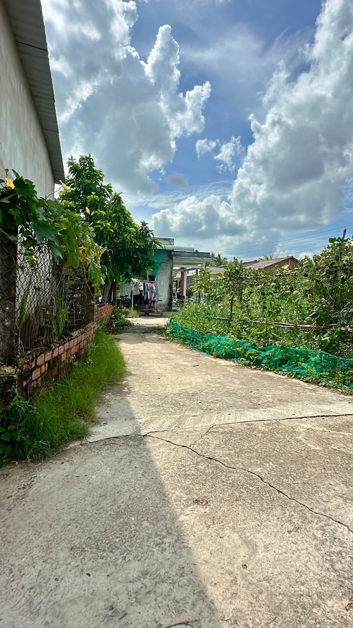 Đất CLN 144m² hẻm Nguyễn Văn Nhâm, Tân An - Chính chủ, giá chỉ 250 triệu!