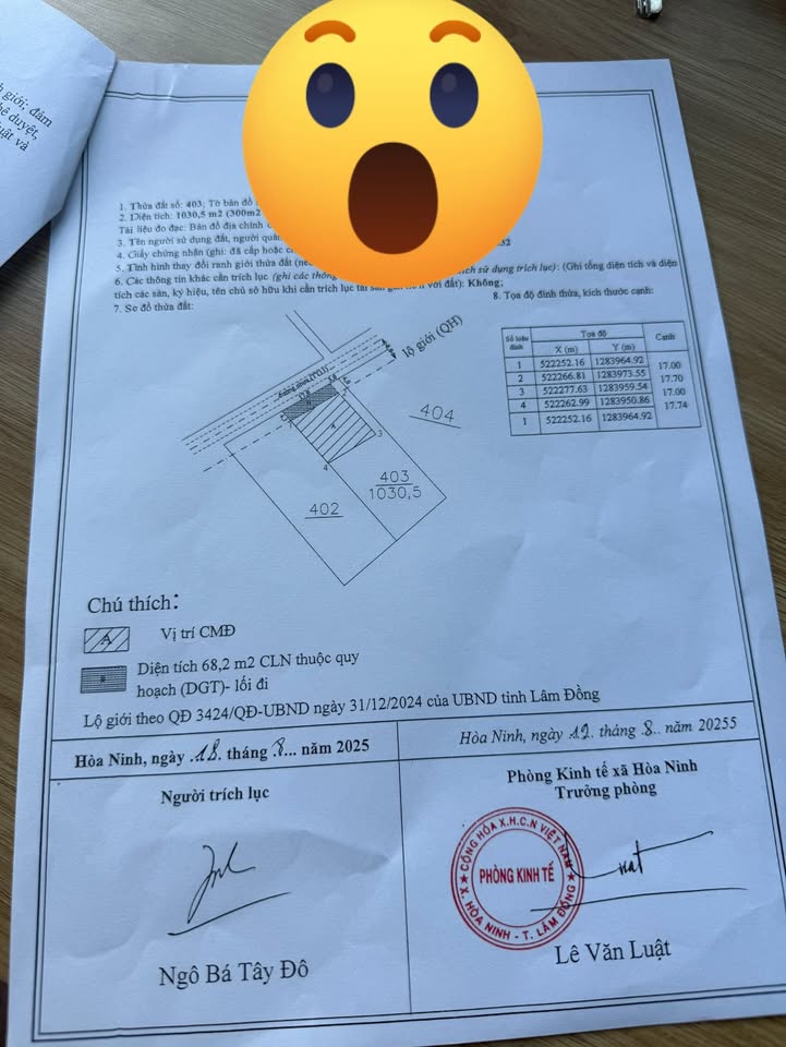 Đất nền Đinh Trang Hòa 1000m² giá 2.3 tỷ - Mặt tiền đường ô tô tránh nhau!