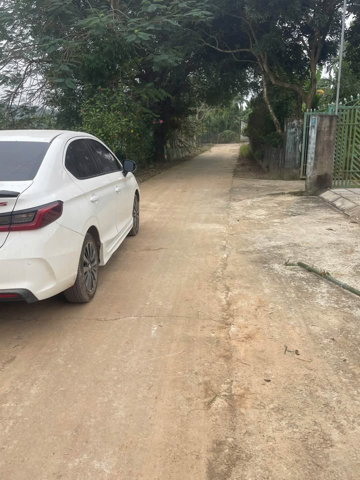 Đất nền Hợp Lý - Triệu Sơn 67m² giá tốt - Sổ hồng chính chủ sẵn sàng giao dịch!