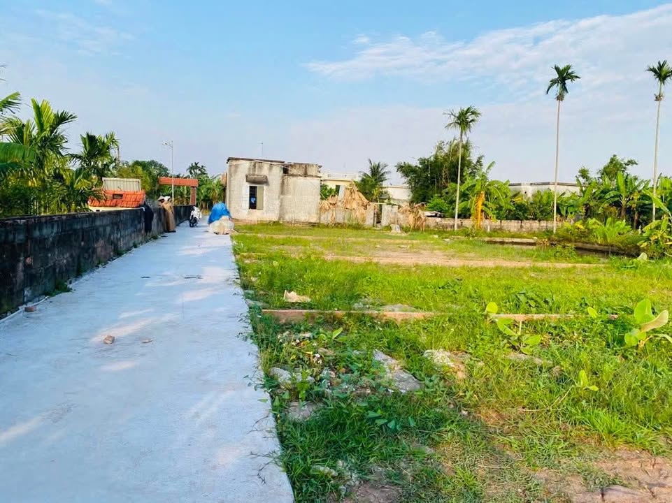 Đất nền xã Bình Định, huyện Kiến Xương, 330m² - Đường ô tô vào tận nơi, giá chỉ vài trăm triệu!