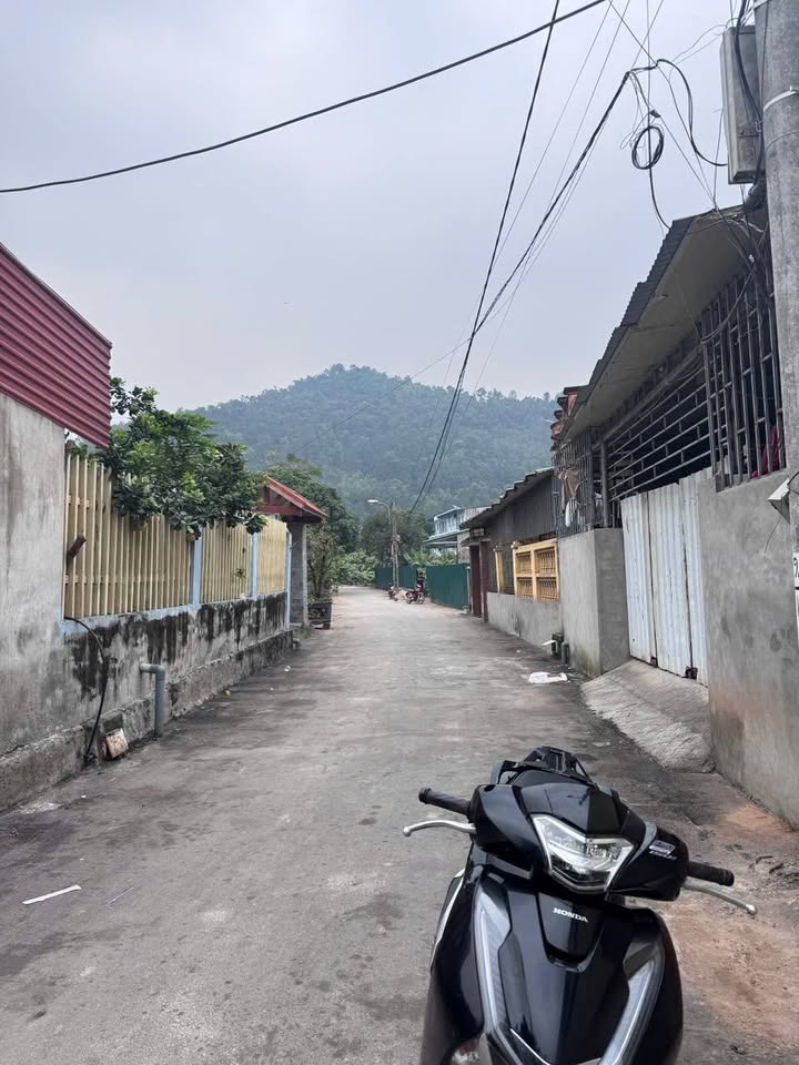 Đất thổ cư Lãm Trại Vân Dương 377m² giá 9 tỷ - Sổ đỏ chính chủ!