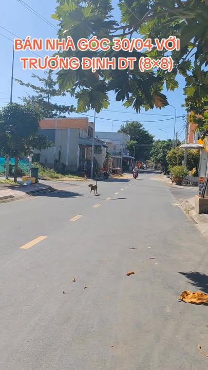 Nhà góc cấp 4 tại Phường Hồng Ngự, Đồng Tháp - Diện tích 64m², giá thương lượng!