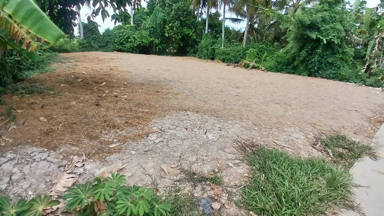 Đất nền 1130.5m² tại ấp Bắc Hưng, Vĩnh Hưng A - Sổ đỏ chính chủ giá 850 triệu