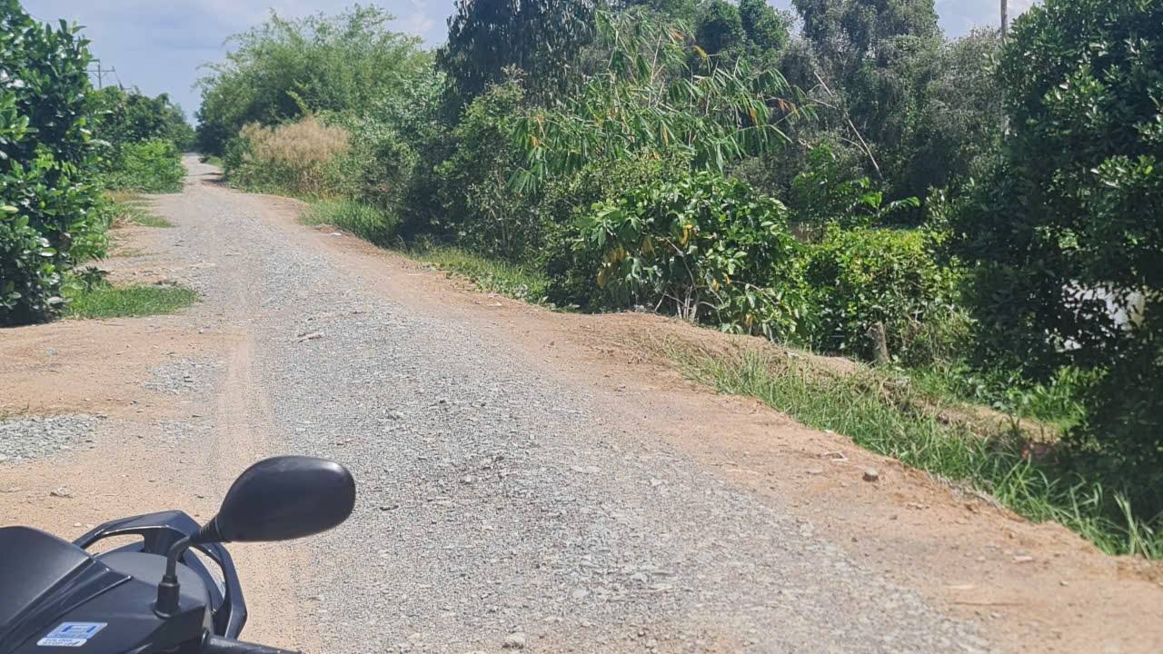 Đất trồng khóm tơ 15.400m² tại Ấp Mỹ Thiện, Tân Phước giá 4 tỷ - Đầu tư sinh lời ngay!