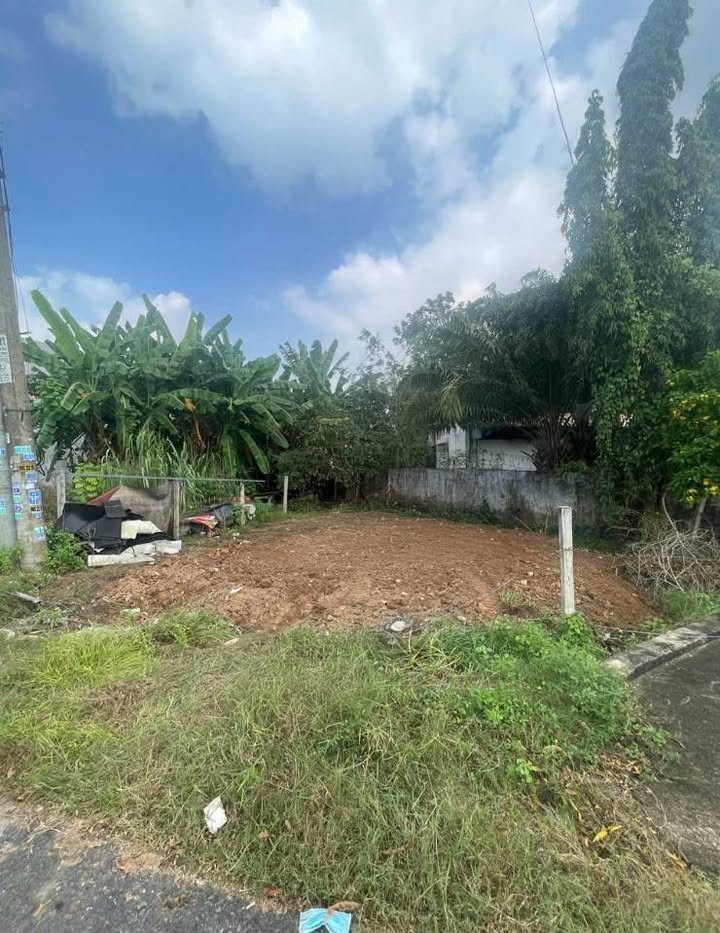 Đất nền Thới Hòa Bến Cát 124m² giá 1.1 tỷ - Hỗ trợ vay ngân hàng