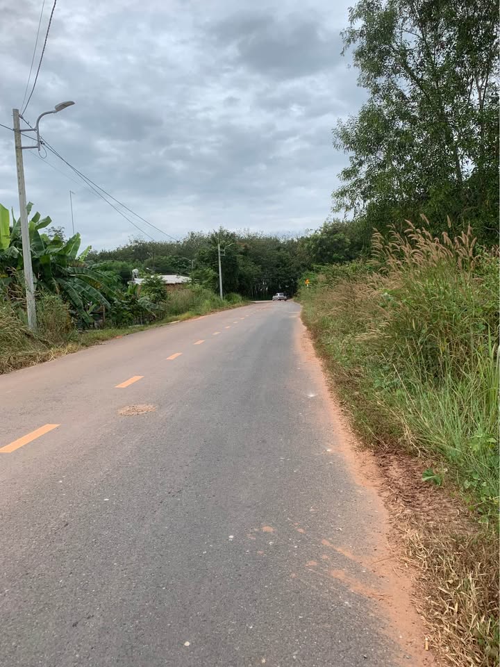 Đất nền Bàu Bàng 260m² giá 900 triệu - Sổ đỏ chính chủ, đầu tư sinh lời!