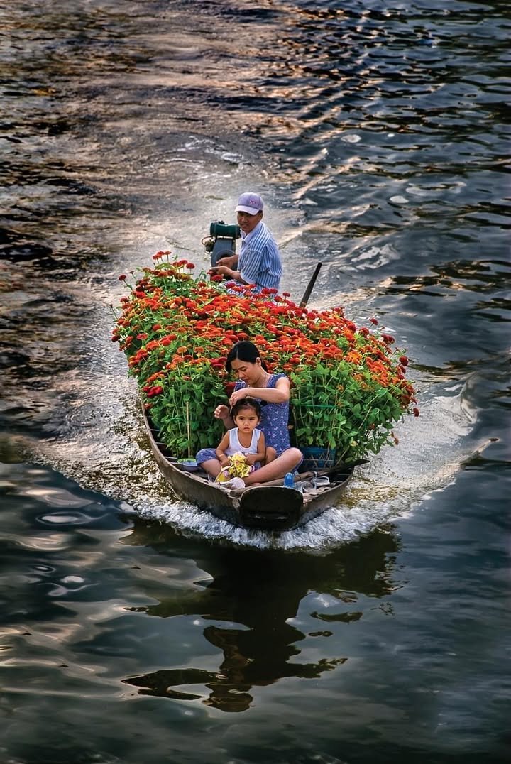 Đất mặt đường Đào Nhuận, Quán Nam, Lê Chân 112m² giá 9.184 tỷ - Đầu tư sinh lời ngay!