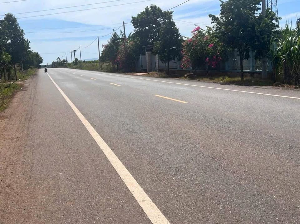 Đất nền Long Tân Đất Đỏ 655m² giá 1.95 tỷ - Sổ đỏ chính chủ