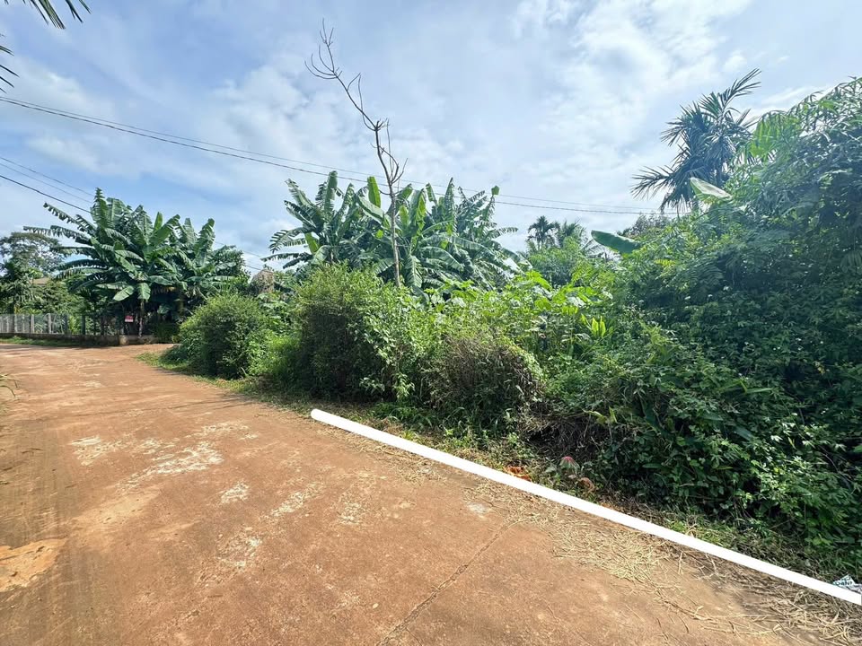 Đất thổ cư Ea Ning, Cư Kuin 198m² giá chỉ 269 triệu - Kẹt tiền bán gấp!