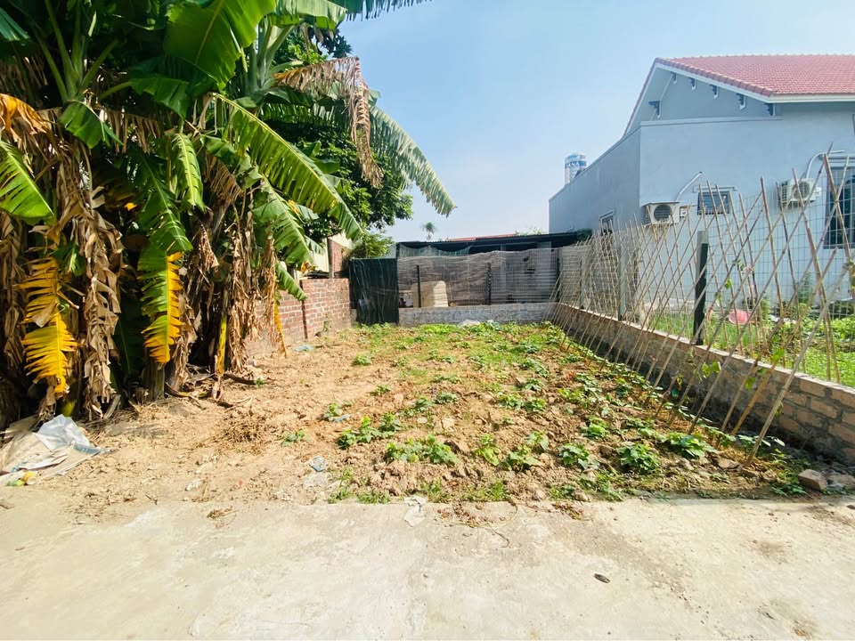 Đất nền khu phố 4, phường Thiên Hương, Hải Phòng 65m² giá 1.1 tỷ - Cơ hội đầu tư tuyệt vời!