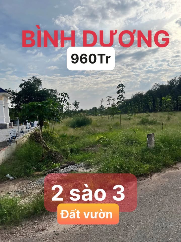 Đất vườn An Linh, Phú Giáo 2300m² giá 960 triệu - Phù hợp làm kho xưởng, nhà vườn!