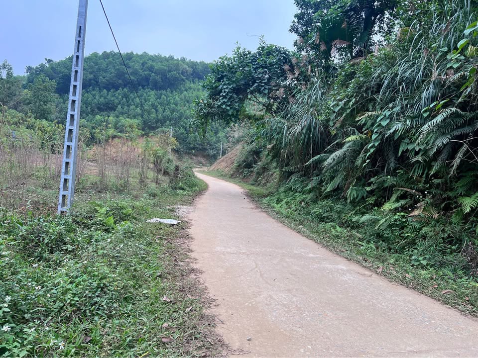 Đất đồi Khuôn Ca, Định Hóa, Thái Nguyên 13.297m² giá 300 triệu - Đầu tư sinh lời ngay!