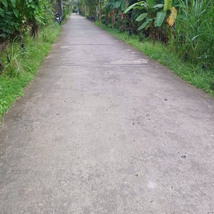 Đất nền Phước Mỹ Trung, Mỏ Cày Bắc 286,2m² giá 650 triệu - Đường xe ô tô vào tận nơi!