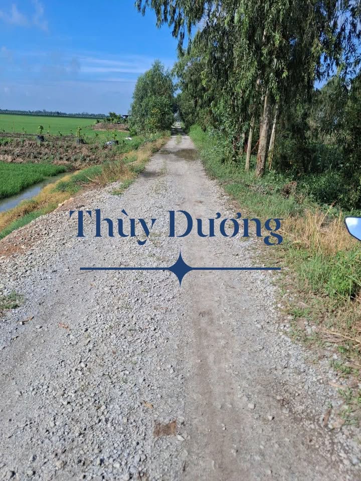 Đất ruộng Trường Xuân 19.000m² giá 3.235 tỷ - Mặt tiền sông lớn, cơ hội đầu tư hấp dẫn!