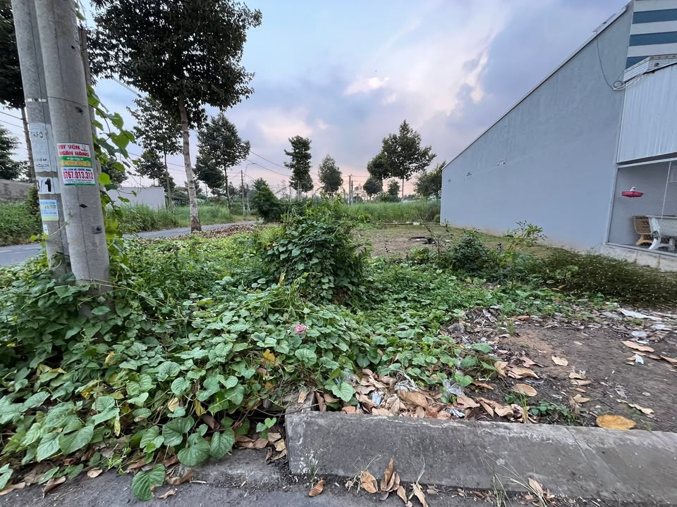 Đất nền góc 2 mặt tiền đường Hai Bà Trưng, Lấp Vò 219m² giá 2.936 tỷ - Đầu tư sinh lời ngay!