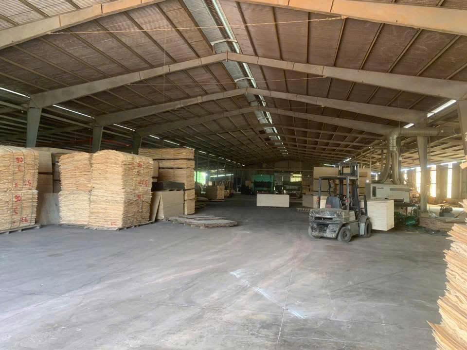 Kho xưởng bán gấp tại Tân An, Vĩnh Cửu, 12ha - Đầu tư sinh lời ngay!