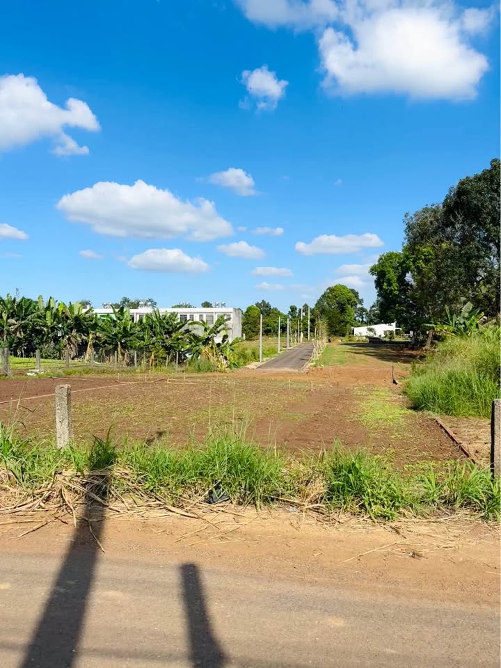 Đất nền xã Lộ 25, Đồng Nai 396m² - Giá thỏa thuận hấp dẫn!