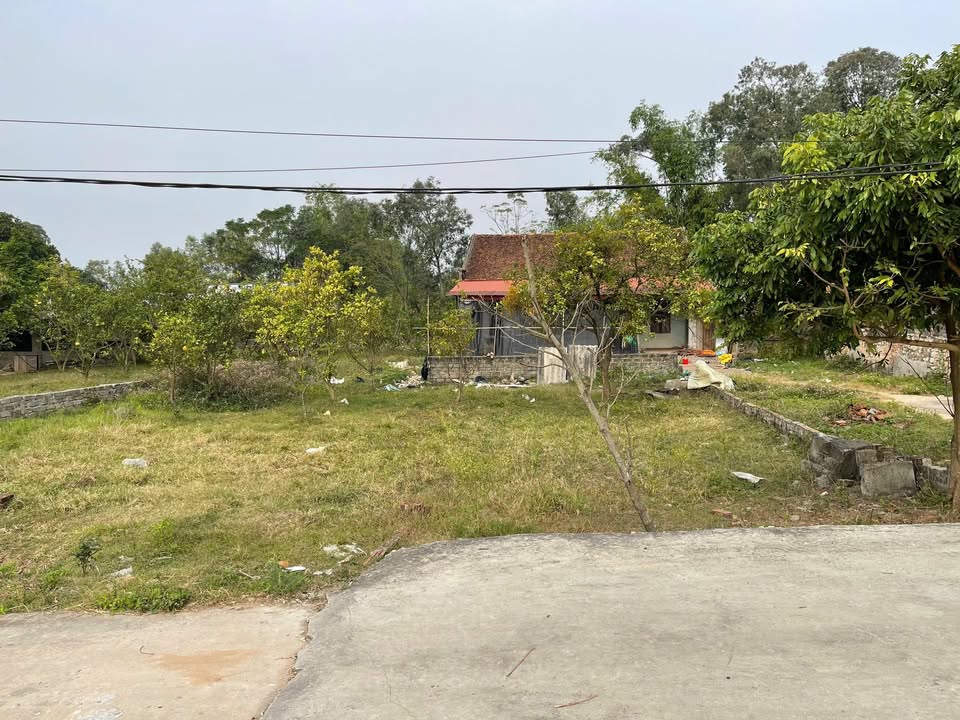 Đất đẹp Dĩnh Sơn, Trung Sơn, Việt Yên 120m² giá 900 triệu - Cơ hội đầu tư sinh lợi!