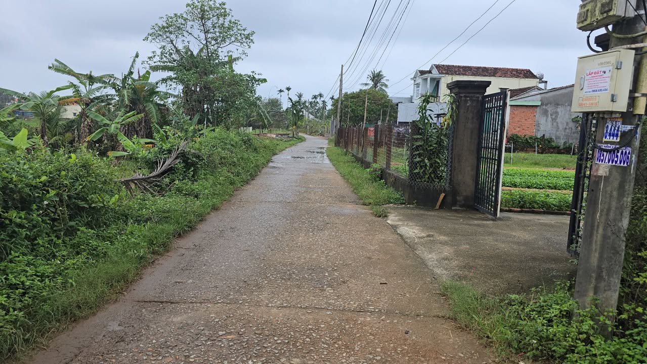 Đất vườn 1290m² tại Bình Hoà, Bình Sơn - Giá 1.5 tỷ, cơ hội đầu tư tuyệt vời!