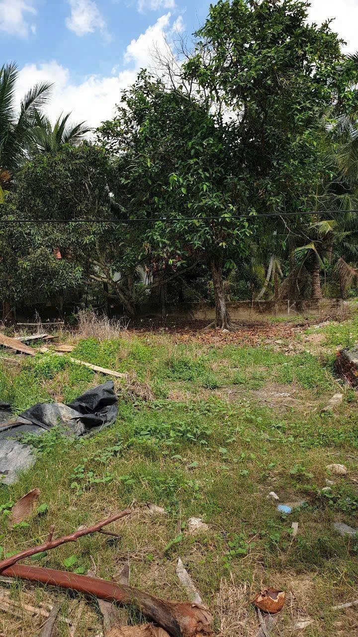 Đất thổ cư phường Nhị Mỹ 105m² giá 600 triệu - Sổ hồng riêng chính chủ!