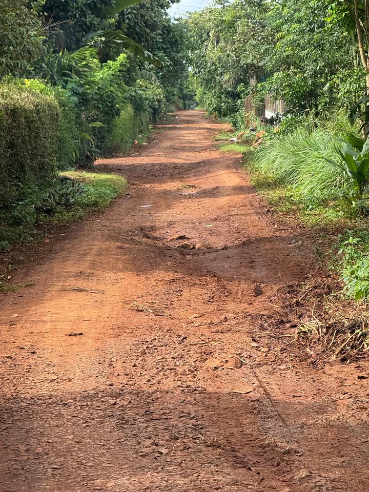 Đất nền 322m² phường An Lạc Buôn Hồ - Nở hậu tài lộc giá chỉ 3.593 tỷ!