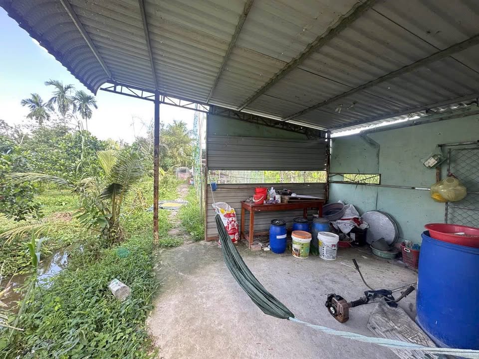 Đất Farm 1000m² tại Bình Thủy - Chỉ 900 triệu - Lý tưởng làm khu nghỉ dưỡng!