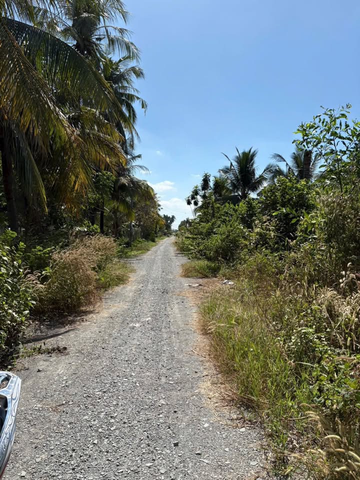 Đất thổ cư 225m² mặt tiền đường nhựa Châu Thành, Tây Ninh - Giá chỉ 510 triệu VNĐ!